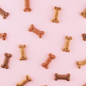 multicolored dog bone toys